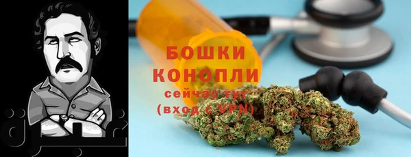 MESCALINE Аркадак