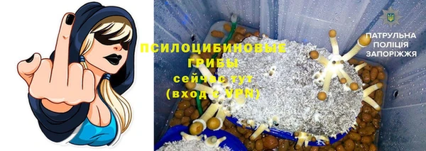 MESCALINE Аркадак
