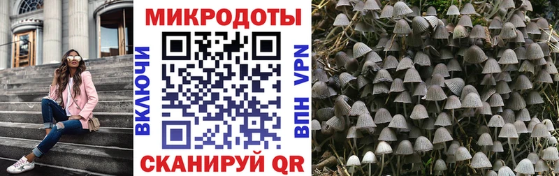 Псилоцибиновые грибы мицелий  mega ссылки  Усть-Кут 